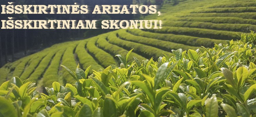 IŠSKIRTINĖS ARBATOS - IŠSKIRTINIAM SKONIUI!