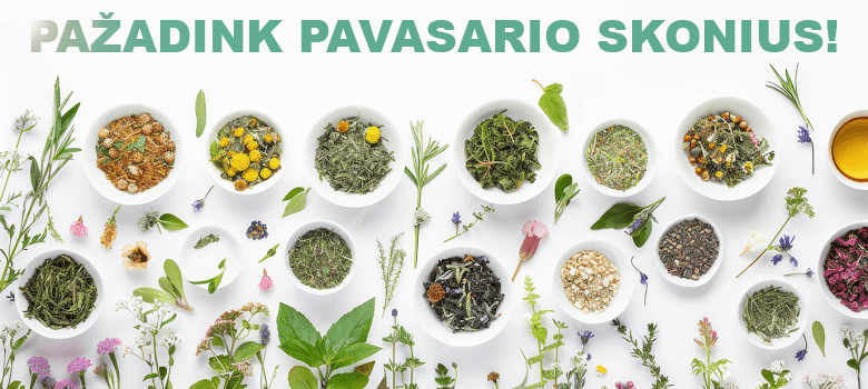 PAŽADINK ŽIEMOS SKONIUS!