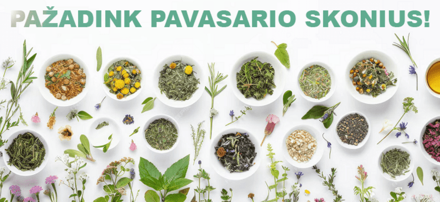 PAŽADINK PAVASARIO SKONIUS!