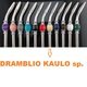 Dramblio kaulo sp.