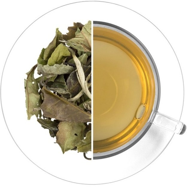 WHITE PEONY (BAI MU DAN) baltoji arbata